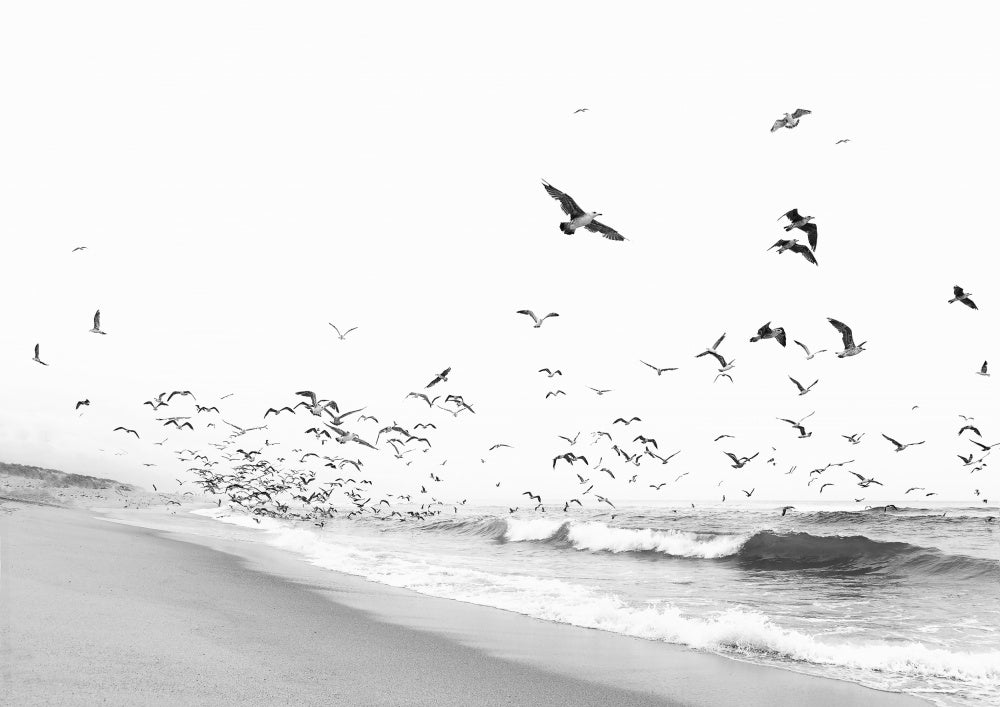Seascape BW Art Print