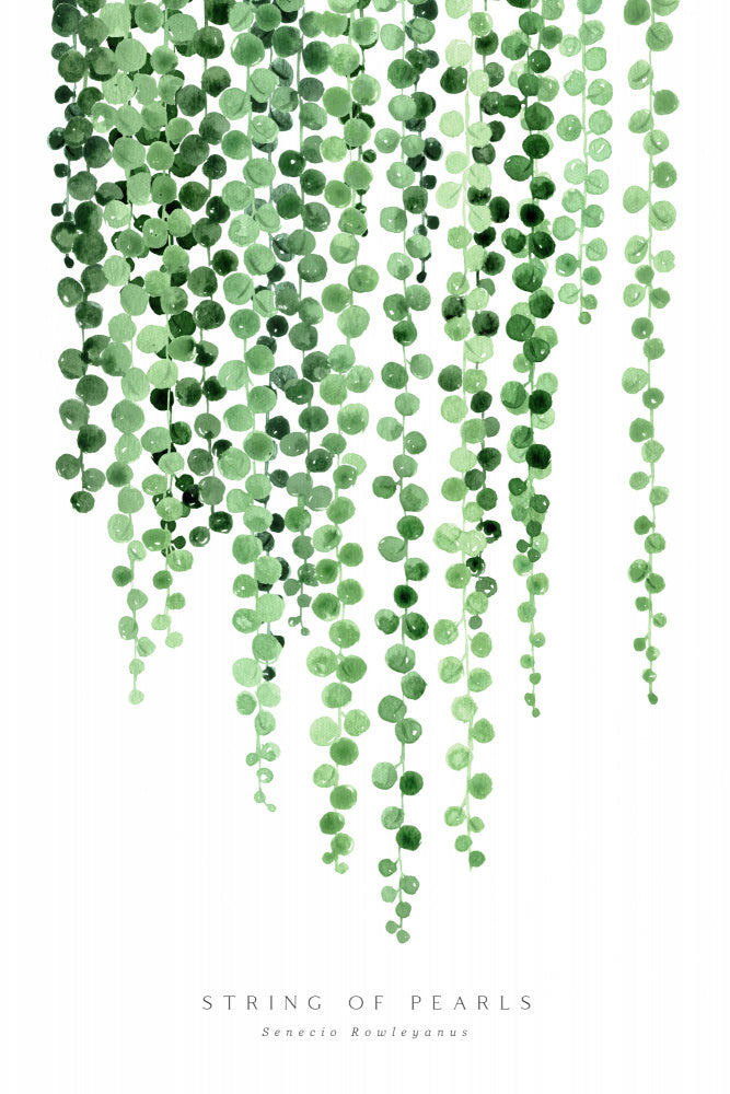 Watercolor string of pearls Art Print
