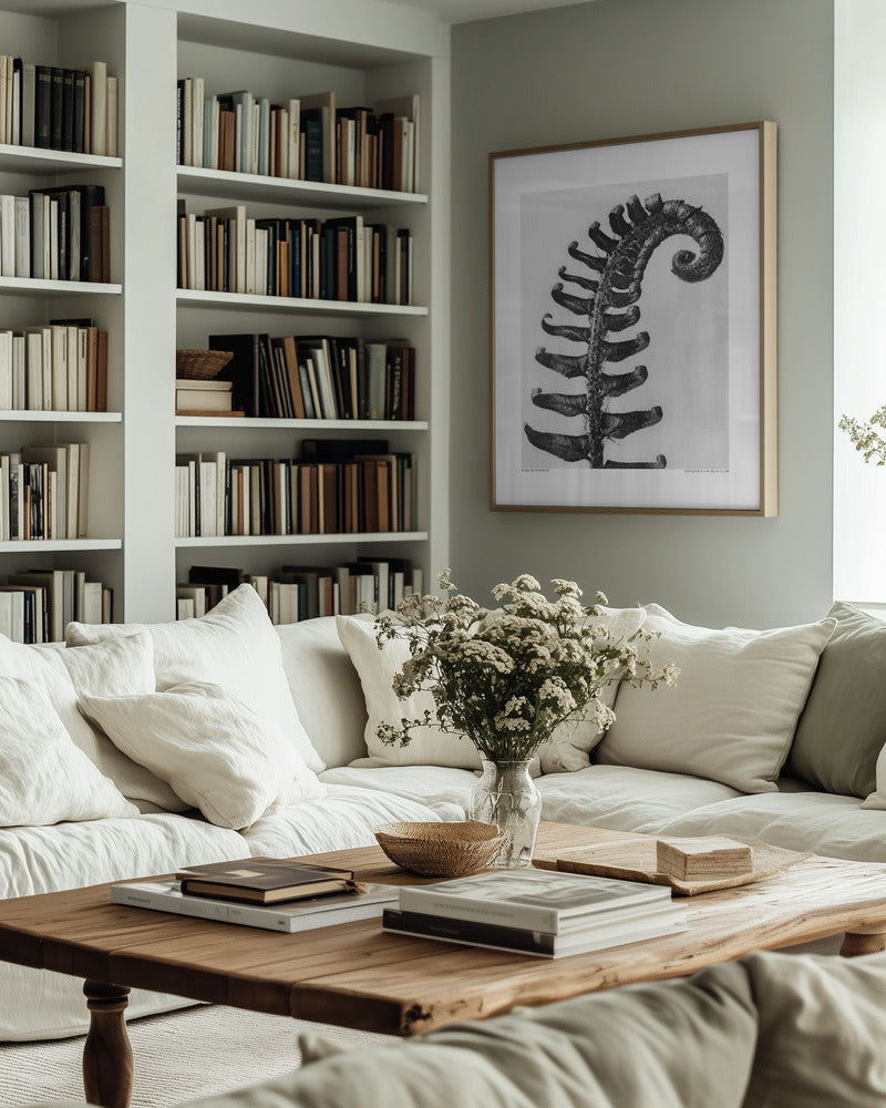 Karl Blossfeldt: "Polystichum Munitum" Art Print