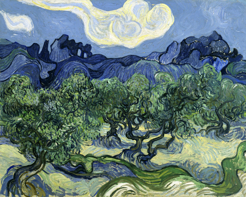 Van Gogh "Vincent Van Gogh's Olive Trees With the Alpilles In the Background (1889)" Art Print