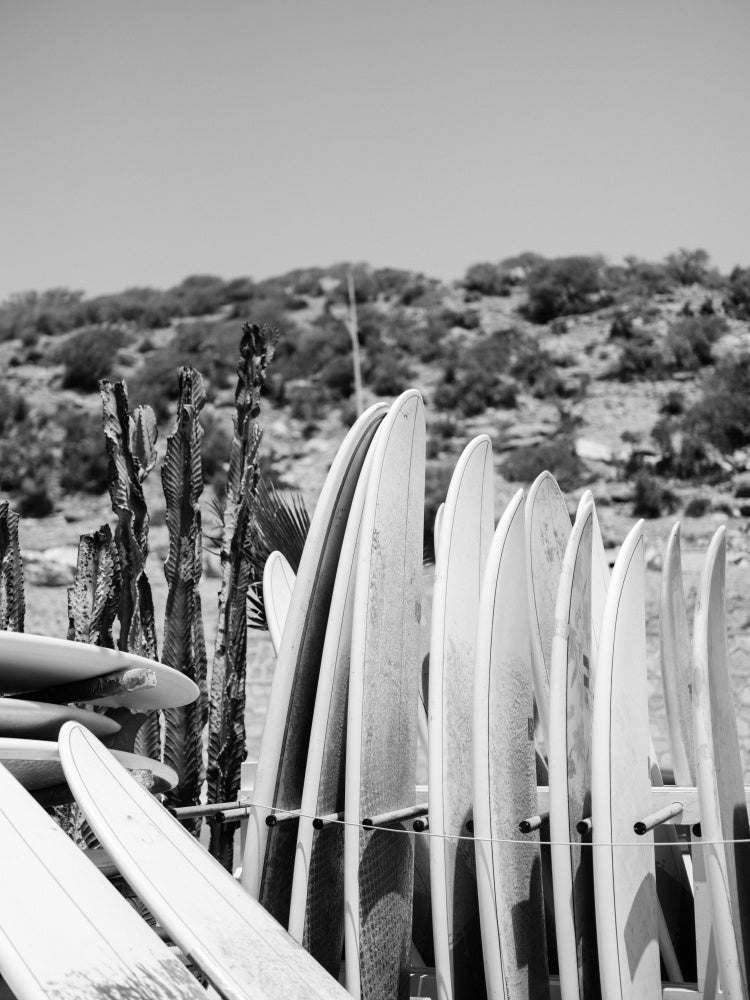 Surfboards in Black and White Art Print