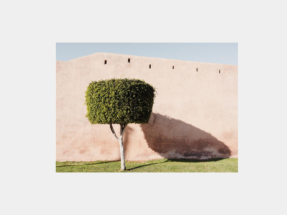 Botanical scenery and a city wall in Morocco Art Print