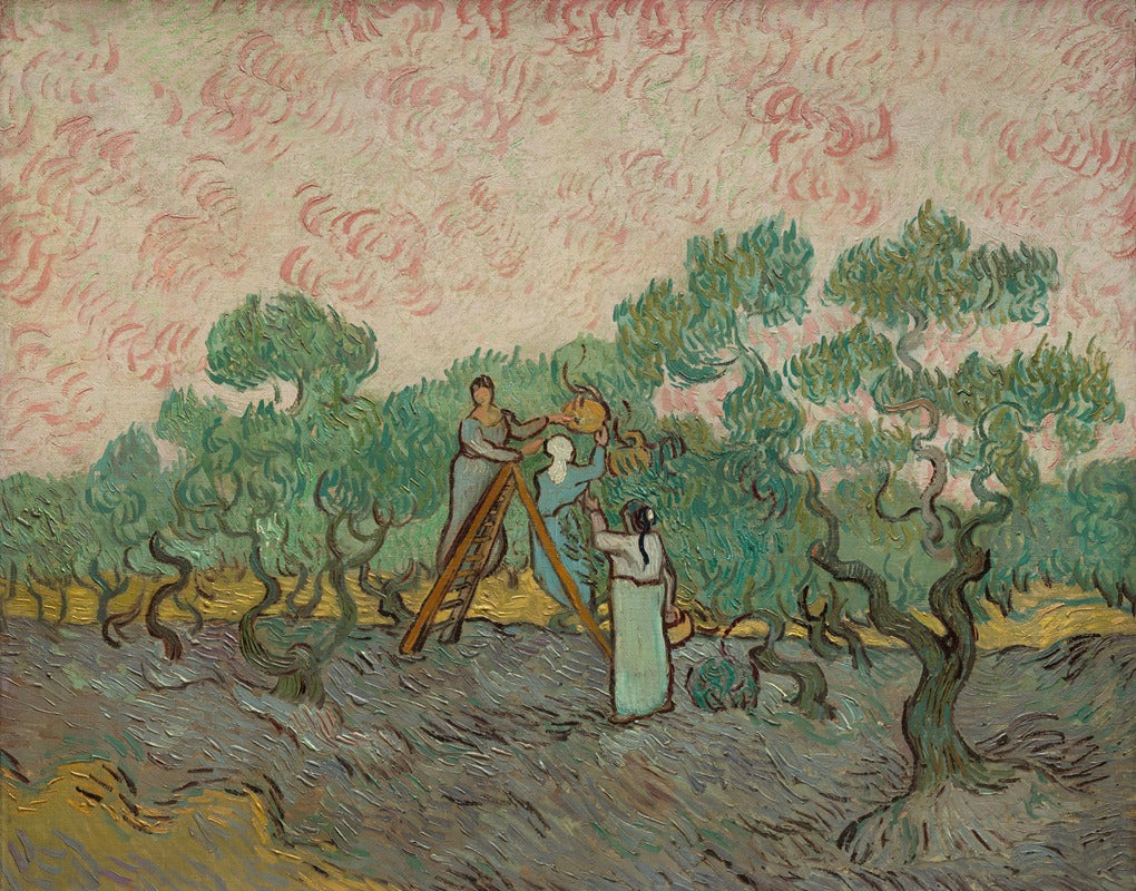 Van Gogh "Women Picking Olives (1889)" Art Print