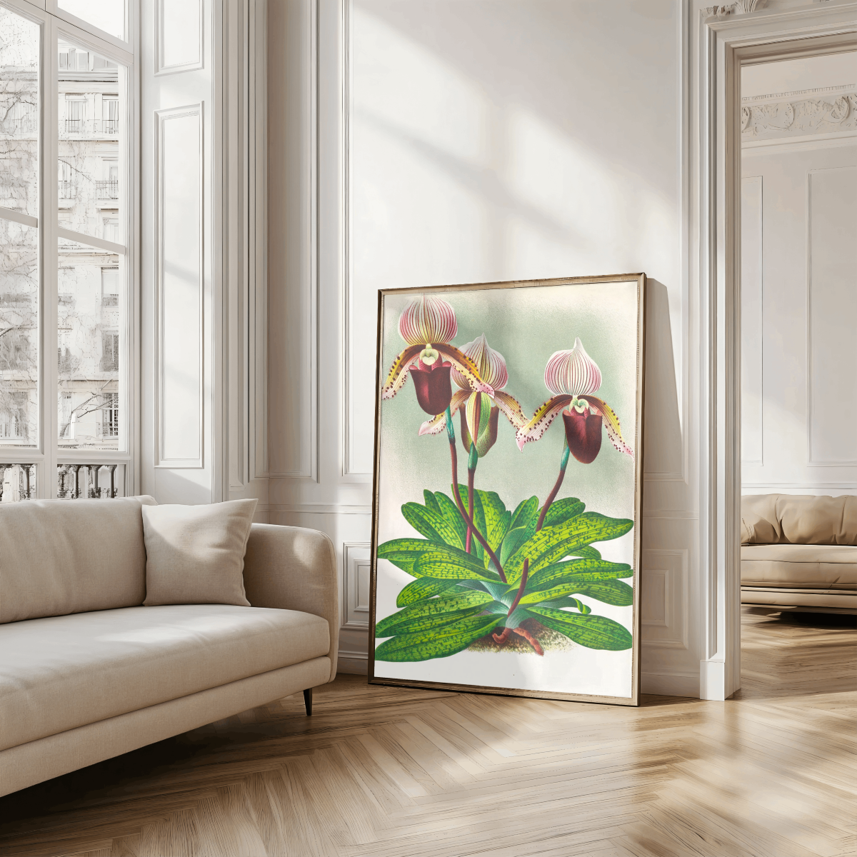 Cypripedium barbato veitchianum Art Print