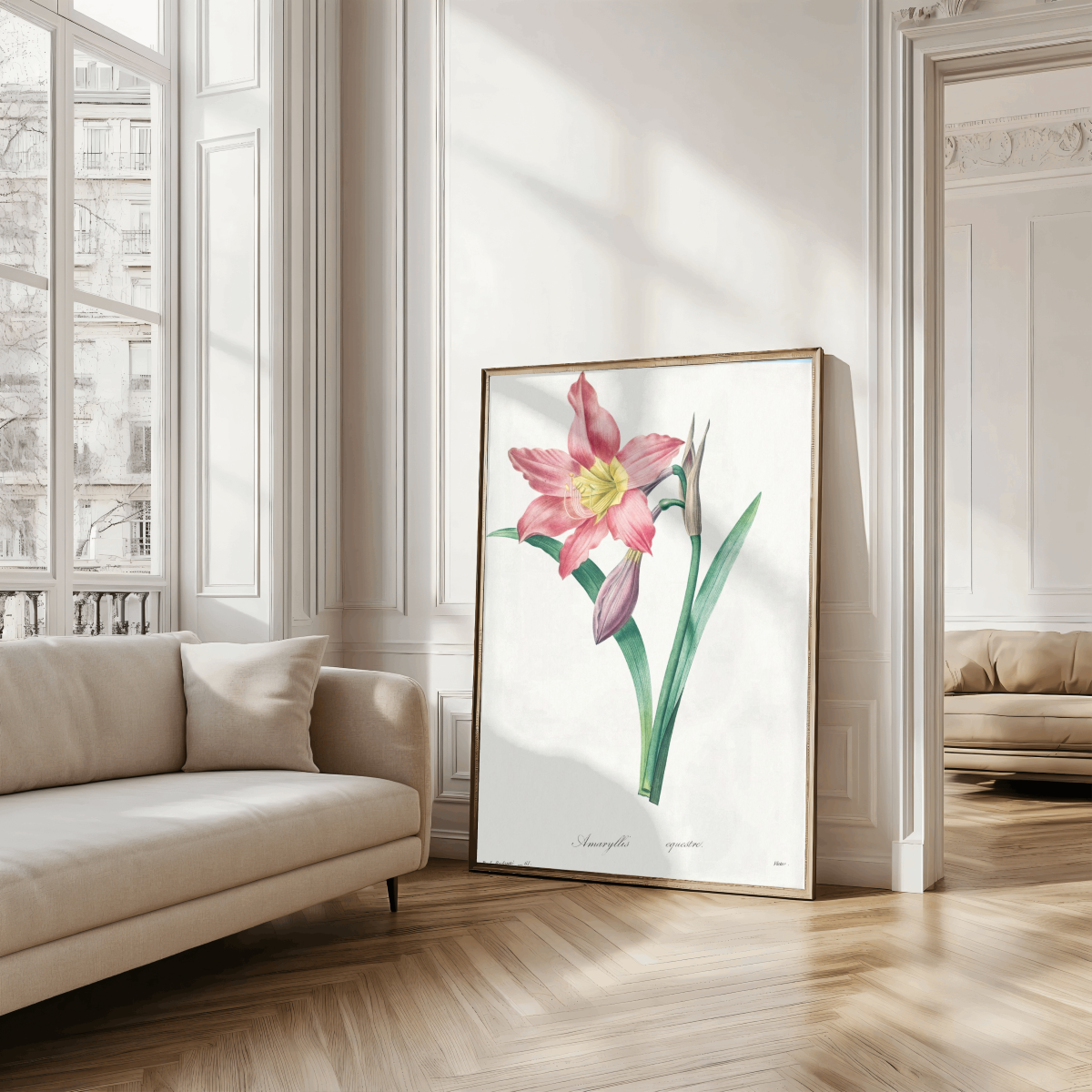 Amaryllis Equestre Art Print