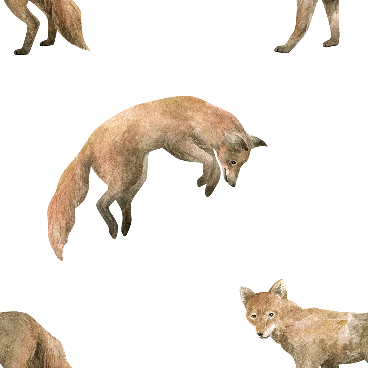 Prairies playful Foxes Wallpaper