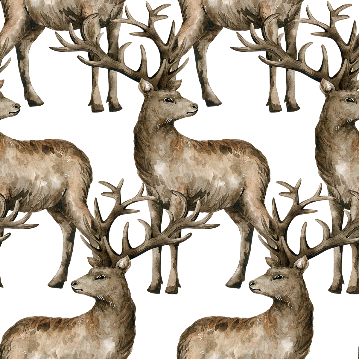 Autumn Forest Animals Wallpaper