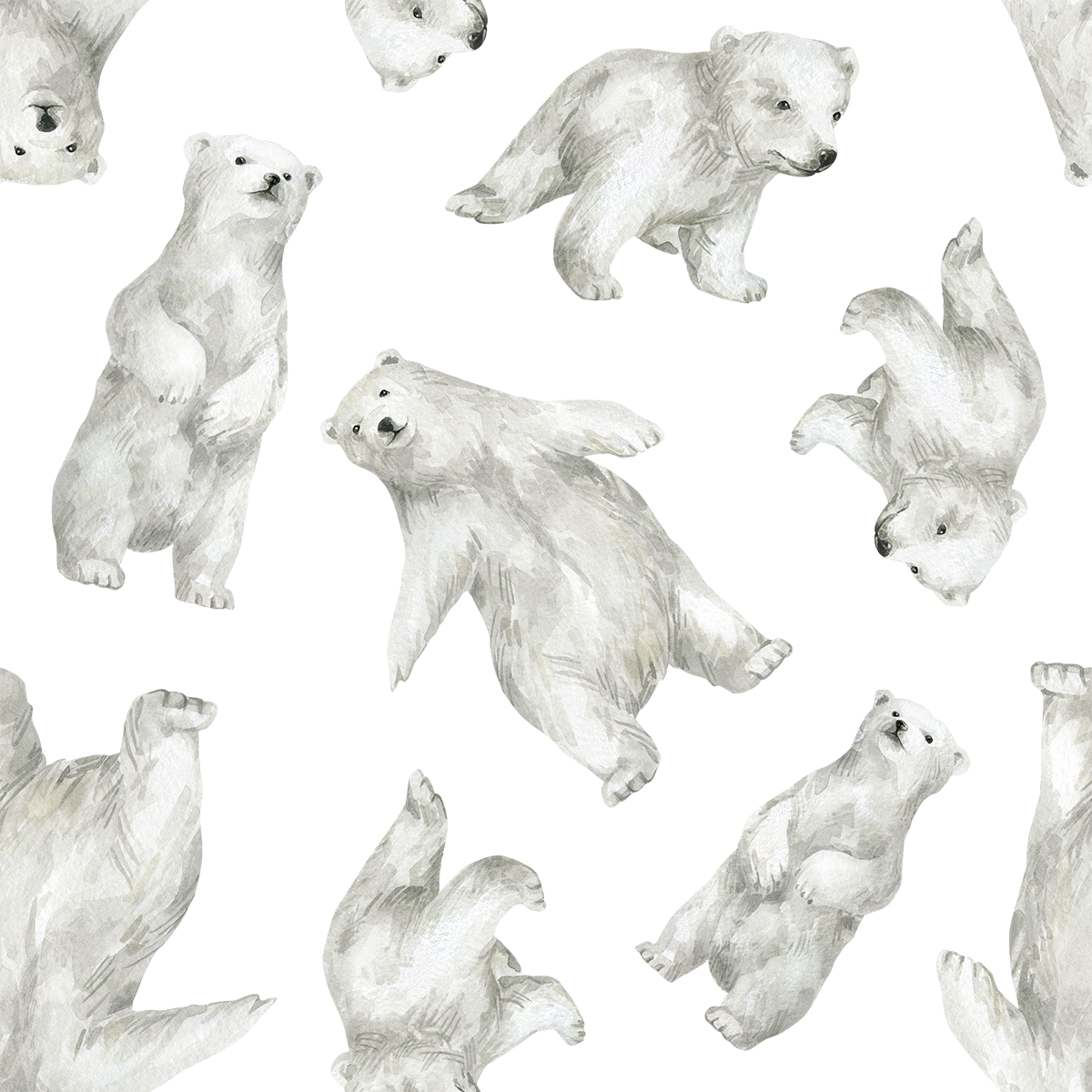 Polar bear Wallpaper