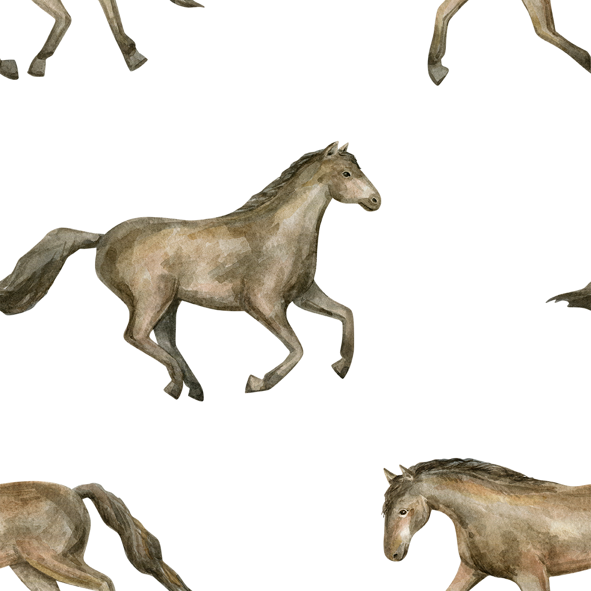 Prairies Wild Horses Wallpaper
