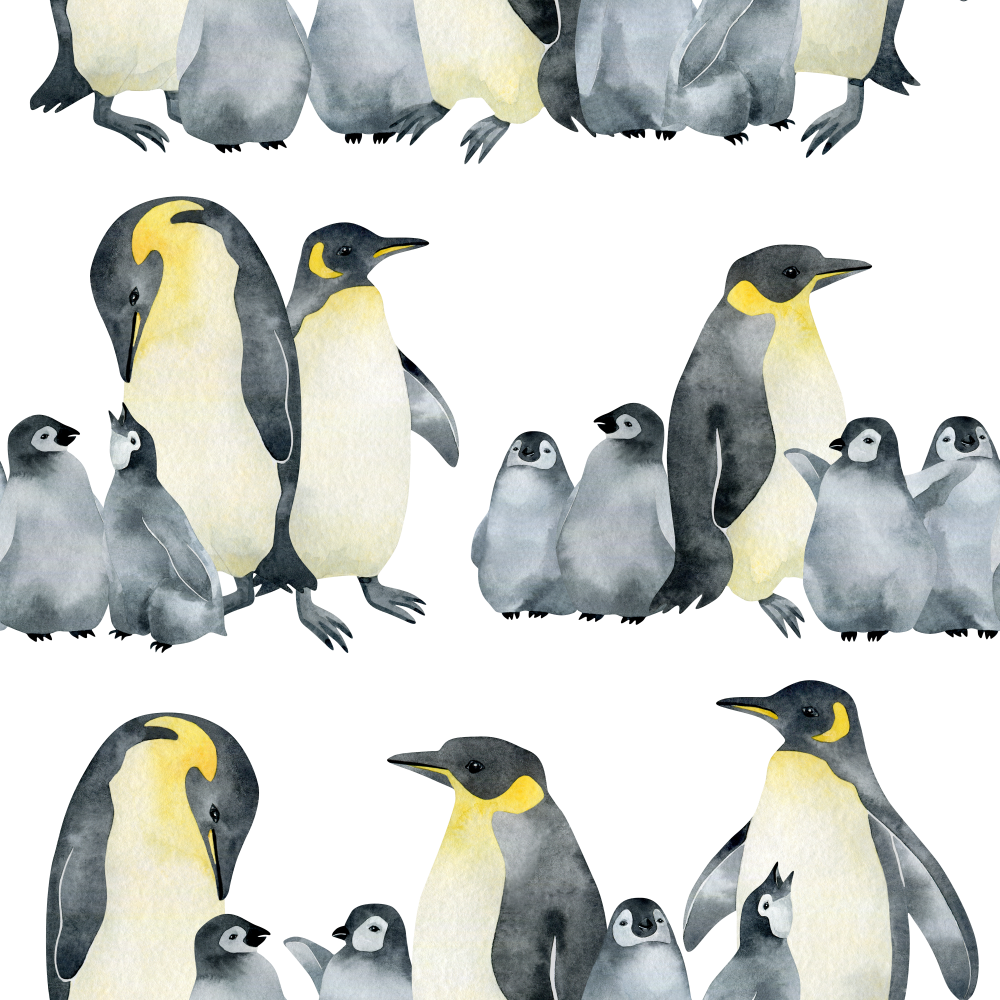 Family of Penguins Wallpaper