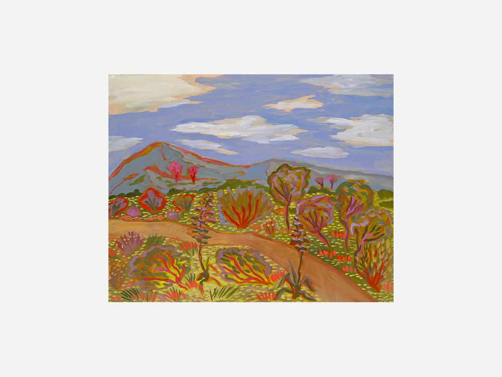 Desert Path Art Print