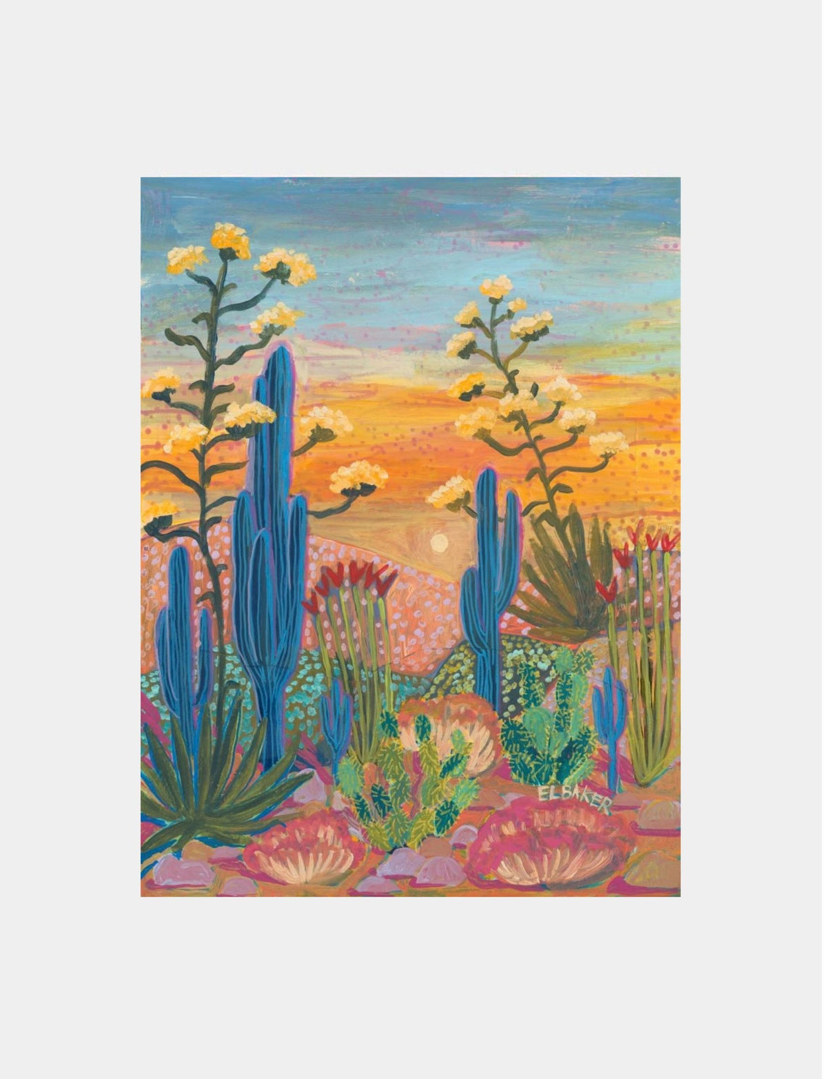 Saguaro Cactus and Century Plant
