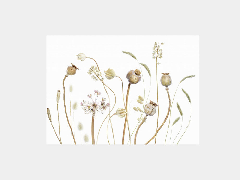 Pods Art Print