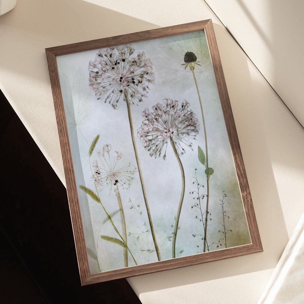 Allium Art Print