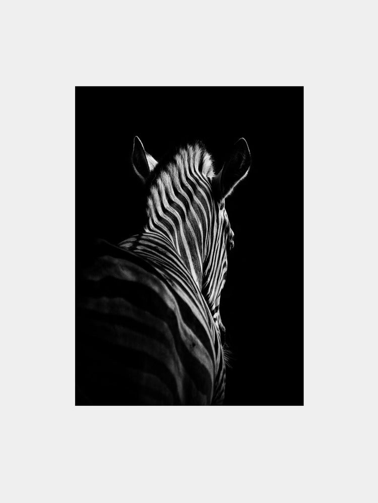 Stepping down Art Print