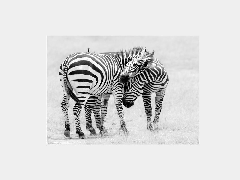 Tender Moment Art Print