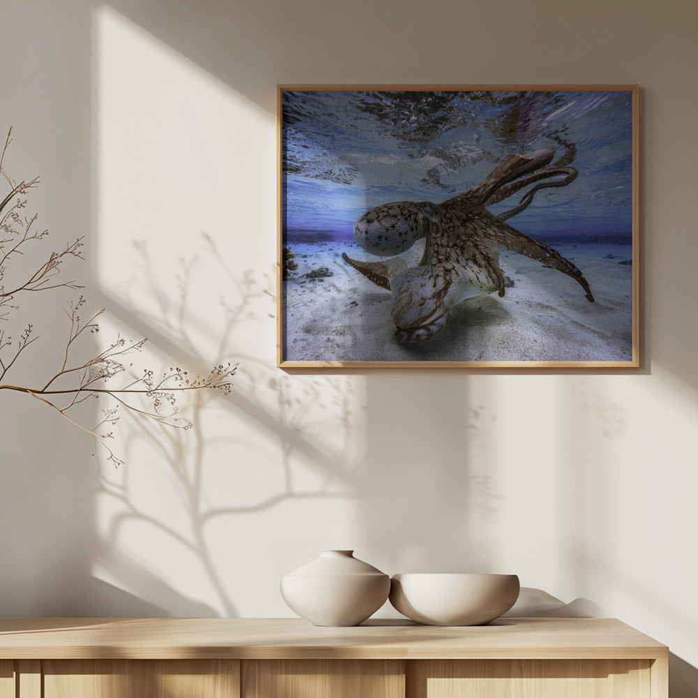 Dancing Octopus Art Print