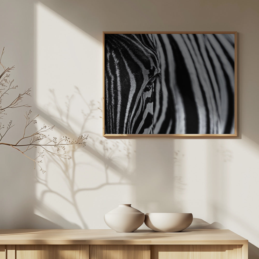 The Look of Nature Art Print