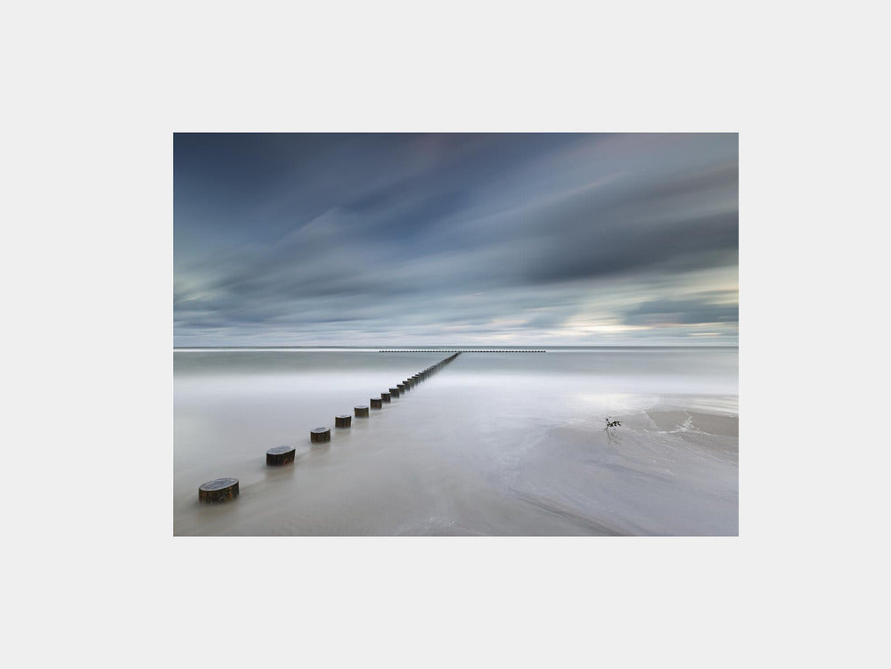 T Art Print