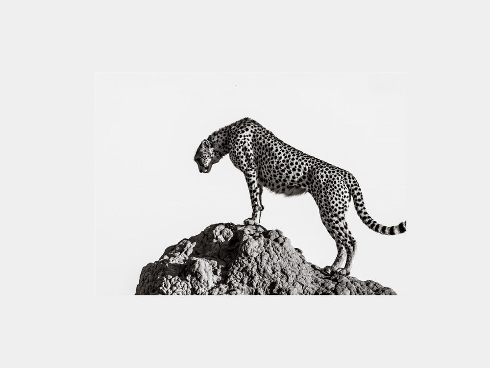 The Hunter Art Print