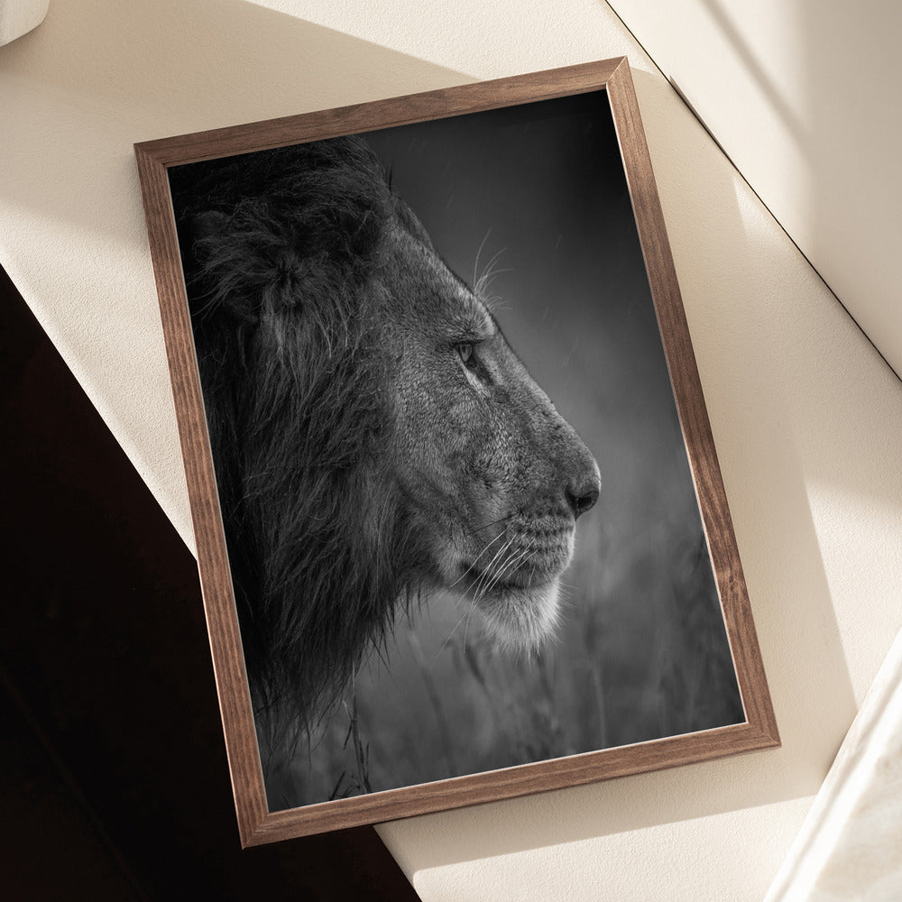 Thinking Under The Rain Art Print