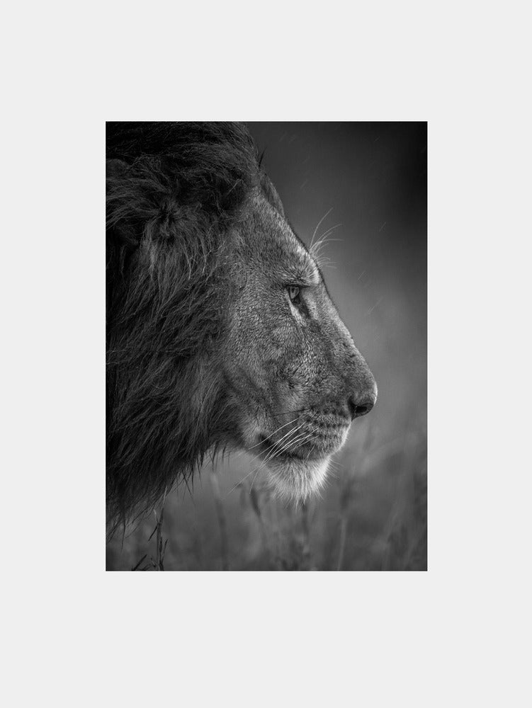 Thinking Under The Rain Art Print