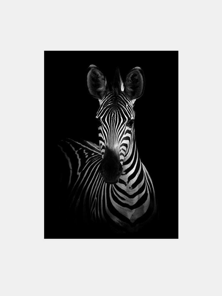 The Zebra Art Print