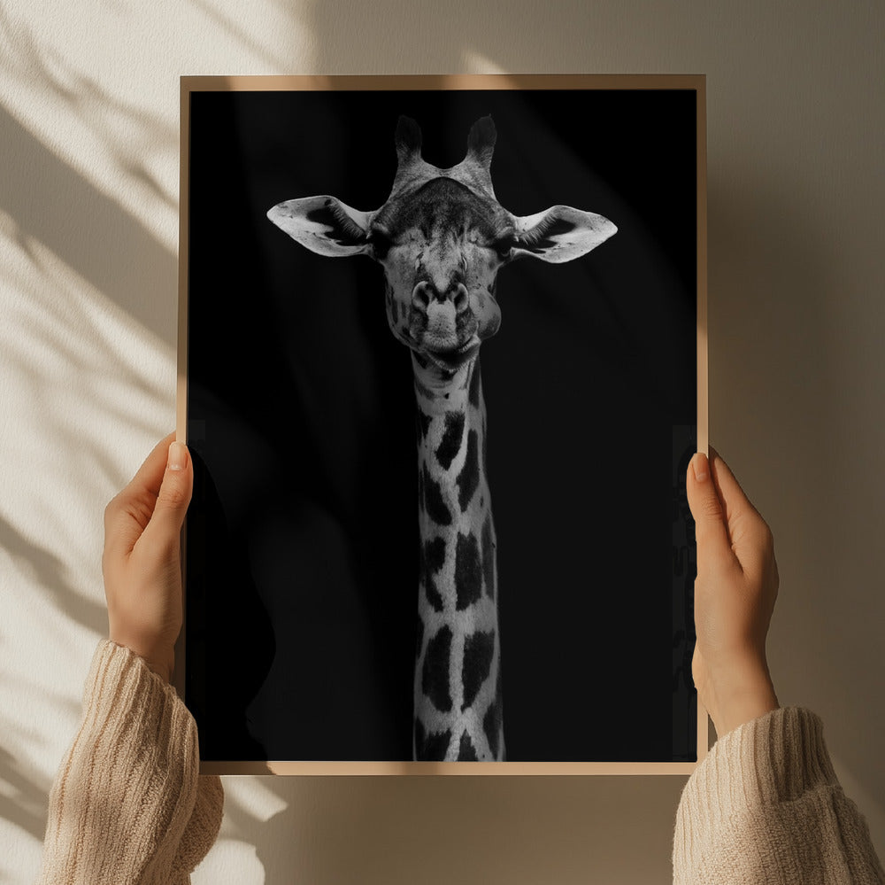 Giraffe Portrait