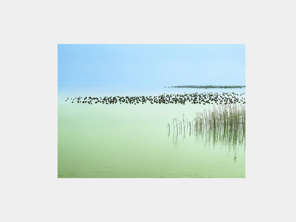 Harmony Art Print