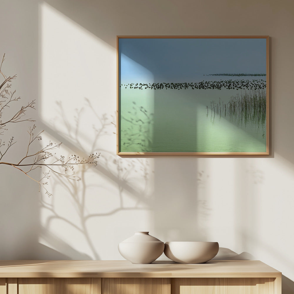 Harmony Art Print