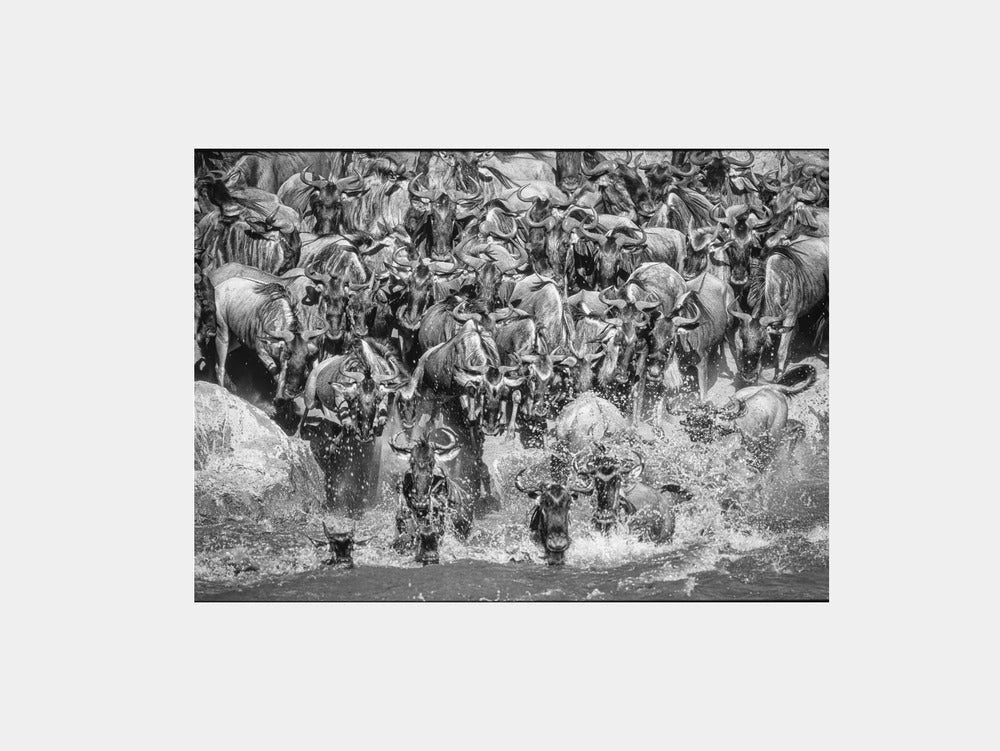 The Crossing Art Print