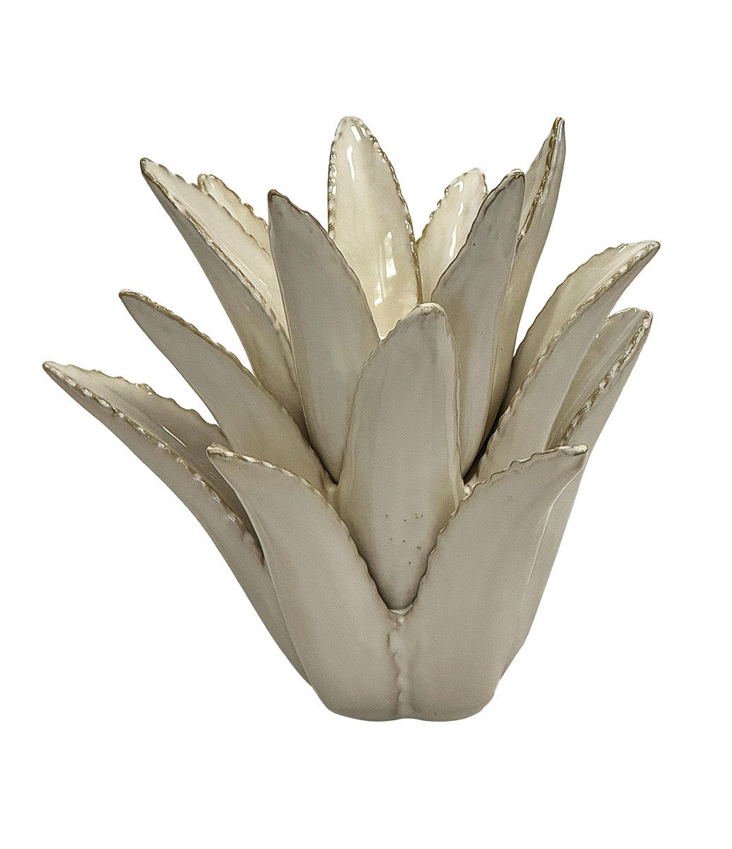 Ceramic Spiked Aloe | White