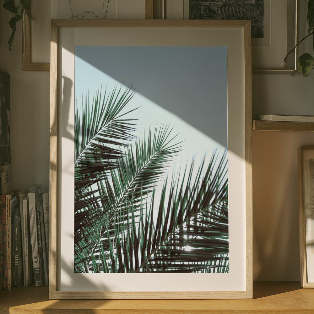 Fronds in the Breeze Art Print