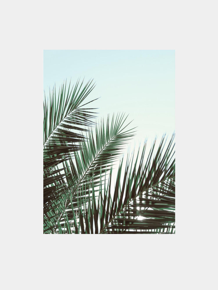 Fronds in the Breeze Art Print