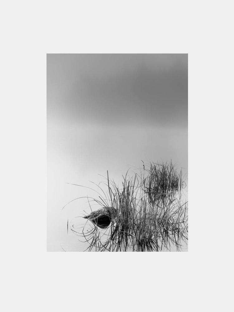 Stripped Art Print