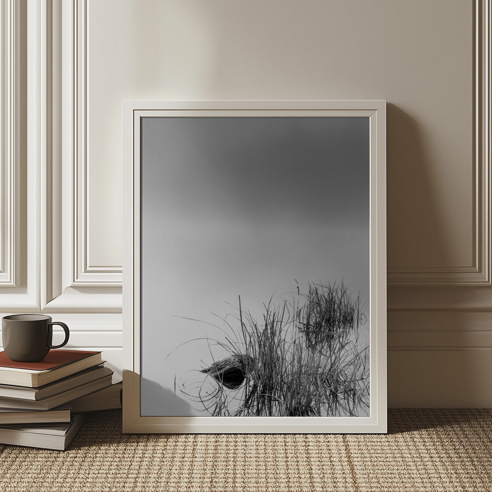 Stripped Art Print