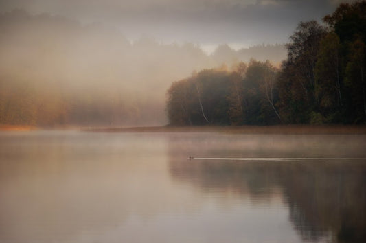 The morning's first swim turn