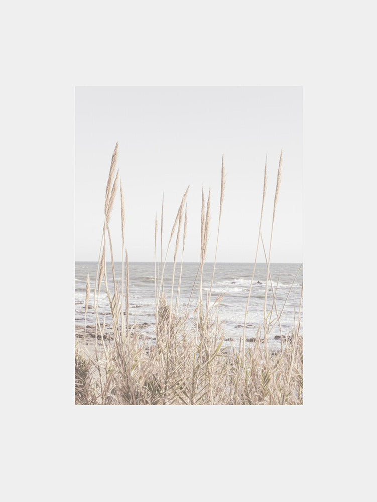 Beach Vass Art Print