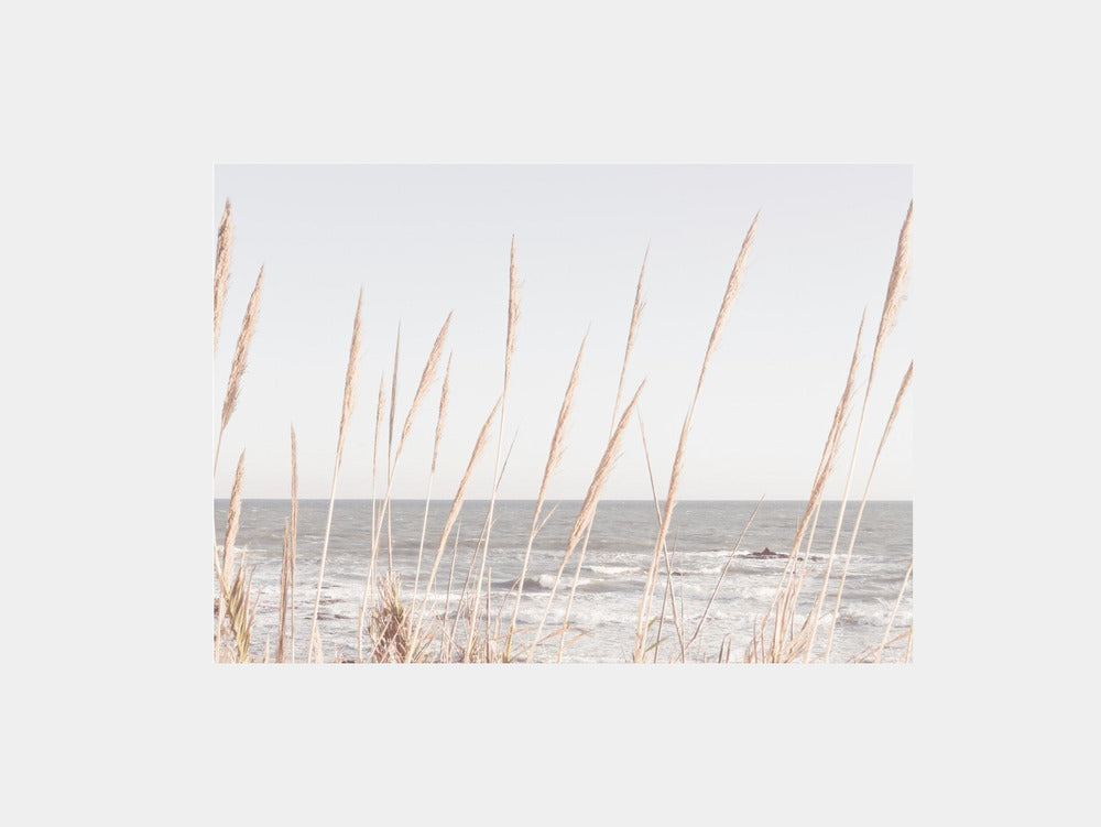 Beach Vass Grass Art Print