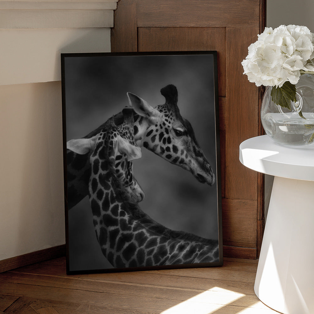 The Gentle Giant Art Print