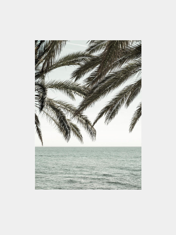 Palm-Swayed Shores Art Print
