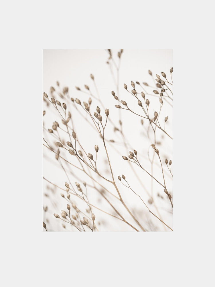 Wild Grass Art Print