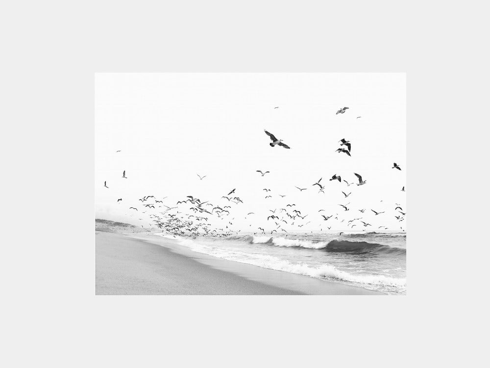 Seascape  BW Art Print