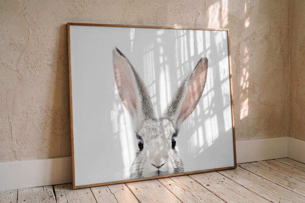 Peeking Bunny