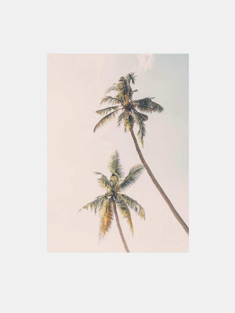 Twin Palms' Journey Art Print