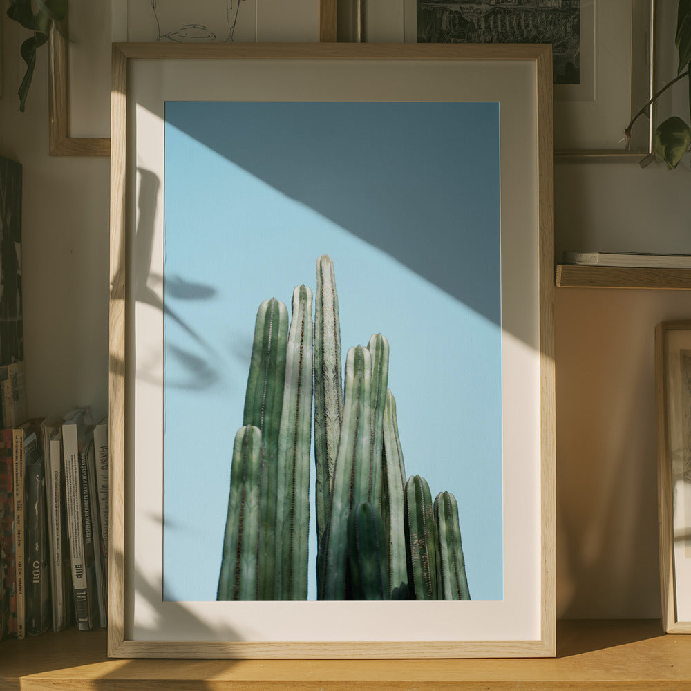 Cacti Art Print