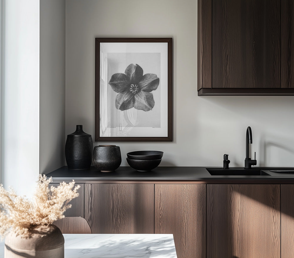 Karl Blossfeldt: "Cobea Scandens" Art Print