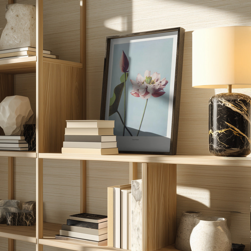 Serene Lotus Duo Art Print