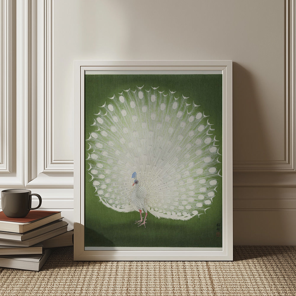 Peacock Art Print