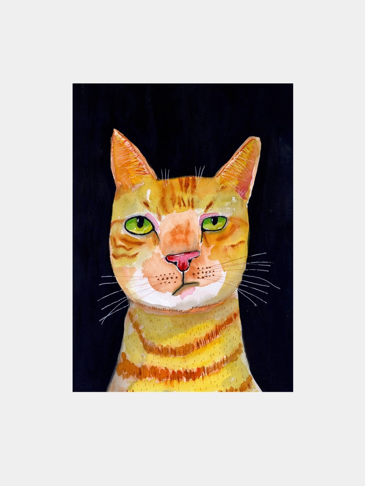 Expressive Orange Tabby